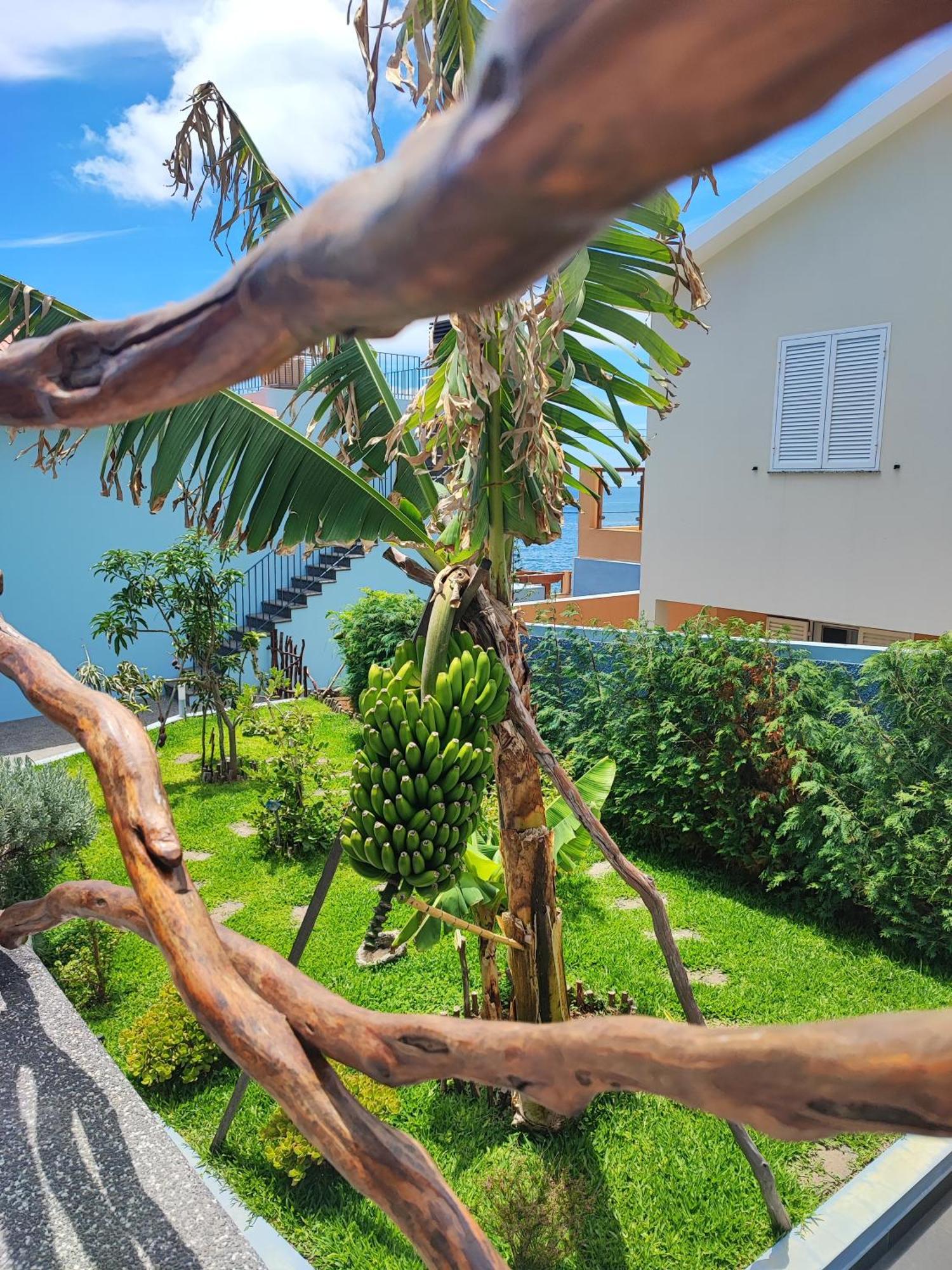 Cottage Pearl - Rural Holiday Experience By Seapearl Paul do Mar  Extérieur photo